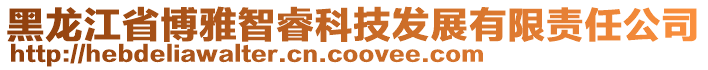 黑龍江省博雅智?？萍及l(fā)展有限責(zé)任公司