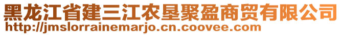 黑龍江省建三江農(nóng)墾聚盈商貿(mào)有限公司