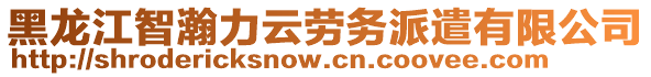 黑龍江智瀚力云勞務派遣有限公司