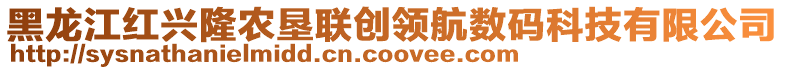 黑龍江紅興隆農(nóng)墾聯(lián)創(chuàng)領(lǐng)航數(shù)碼科技有限公司