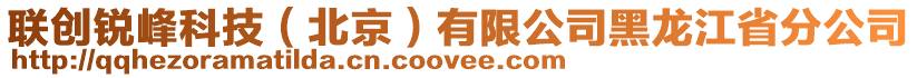 聯(lián)創(chuàng)銳峰科技（北京）有限公司黑龍江省分公司