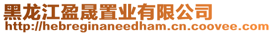 黑龍江盈晟置業有限公司