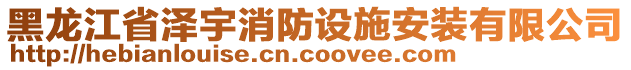 黑龙江省泽宇消防设施安装有限公司