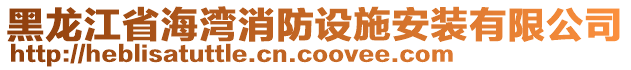 黑龙江省海湾消防设施安装有限公司