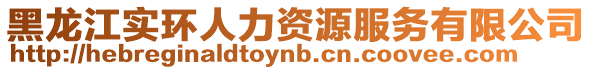 黑龍江實環(huán)人力資源服務有限公司
