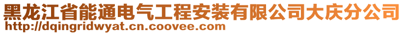 黑龍江省能通電氣工程安裝有限公司大慶分公司