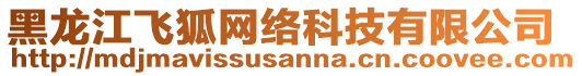 黑龍江飛狐網(wǎng)絡(luò)科技有限公司