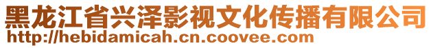 黑龍江省興澤影視文化傳播有限公司