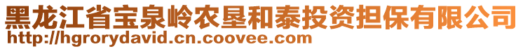 黑龍江省寶泉嶺農(nóng)墾和泰投資擔(dān)保有限公司