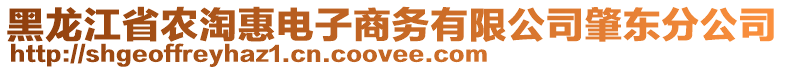 黑龍江省農(nóng)淘惠電子商務(wù)有限公司肇東分公司