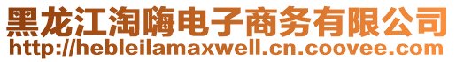 黑龍江淘嗨電子商務(wù)有限公司