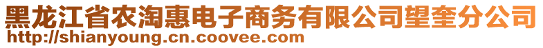 黑龍江省農(nóng)淘惠電子商務(wù)有限公司望奎分公司