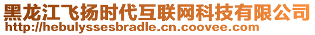 黑龍江飛揚(yáng)時(shí)代互聯(lián)網(wǎng)科技有限公司