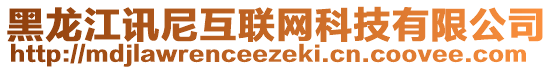 黑龍江訊尼互聯(lián)網(wǎng)科技有限公司