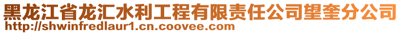 黑龙江省龙汇水利工程有限责任公司望奎分公司