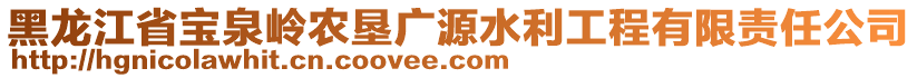 黑龍江省寶泉嶺農(nóng)墾廣源水利工程有限責(zé)任公司