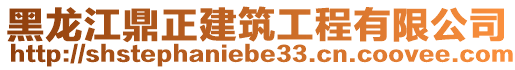 黑龍江鼎正建筑工程有限公司