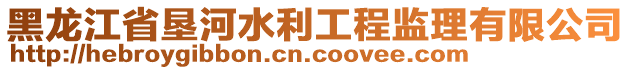 黑龍江省墾河水利工程監(jiān)理有限公司