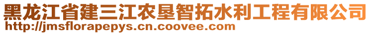 黑龍江省建三江農墾智拓水利工程有限公司