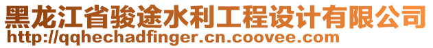 黑龙江省骏途水利工程设计有限公司