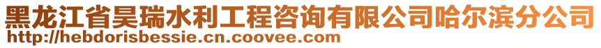 黑龍江省昊瑞水利工程咨詢有限公司哈爾濱分公司