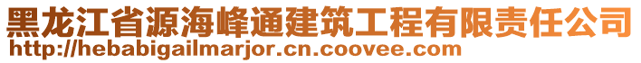 黑龍江省源海峰通建筑工程有限責(zé)任公司