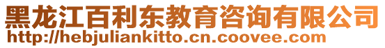 黑龍江百利東教育咨詢有限公司