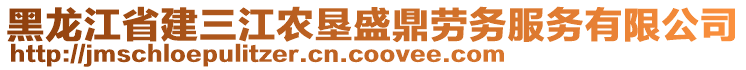 黑龍江省建三江農(nóng)墾盛鼎勞務(wù)服務(wù)有限公司