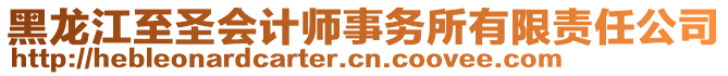 黑龙江至圣会计师事务所有限责任公司