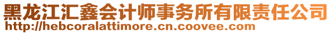 黑龙江汇鑫会计师事务所有限责任公司