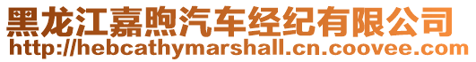 黑龍江嘉煦汽車經(jīng)紀(jì)有限公司