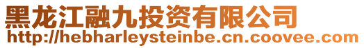 黑龍江融九投資有限公司