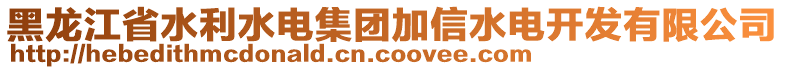 黑龍江省水利水電集團加信水電開發(fā)有限公司