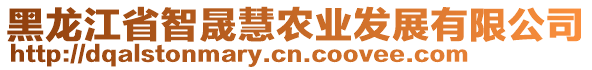 黑龙江省智晟慧农业发展有限公司