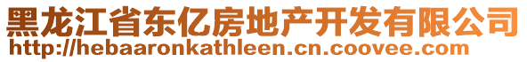 黑龙江省东亿房地产开发有限公司