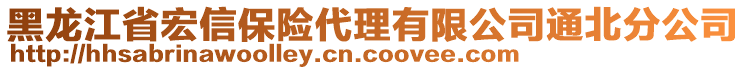 黑龍江省宏信保險代理有限公司通北分公司