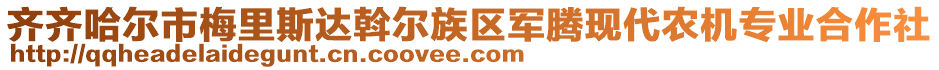 齊齊哈爾市梅里斯達(dá)斡爾族區(qū)軍騰現(xiàn)代農(nóng)機(jī)專業(yè)合作社