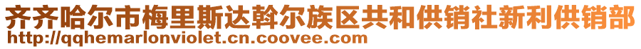 齊齊哈爾市梅里斯達(dá)斡爾族區(qū)共和供銷社新利供銷部