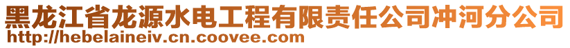 黑龍江省龍源水電工程有限責任公司沖河分公司