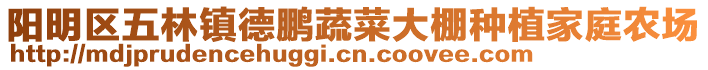 陽(yáng)明區(qū)五林鎮(zhèn)德鵬蔬菜大棚種植家庭農(nóng)場(chǎng)