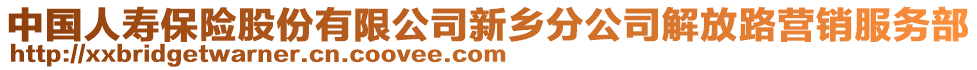 中國人壽保險股份有限公司新鄉分公司解放路營銷服務部
