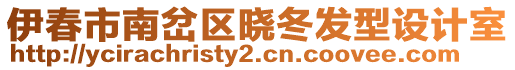 伊春市南岔區(qū)曉冬發(fā)型設(shè)計室