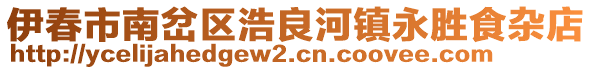 伊春市南岔區(qū)浩良河鎮(zhèn)永勝食雜店