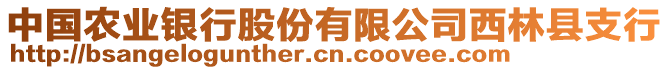 中國農(nóng)業(yè)銀行股份有限公司西林縣支行