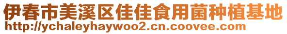 伊春市美溪區(qū)佳佳食用菌種植基地