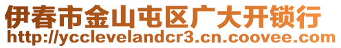 伊春市金山屯區(qū)廣大開鎖行