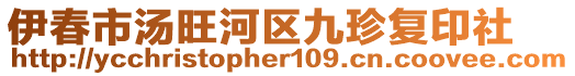 伊春市湯旺河區(qū)九珍復(fù)印社