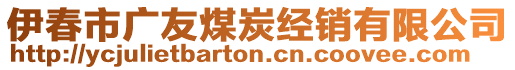 伊春市廣友煤炭經(jīng)銷(xiāo)有限公司