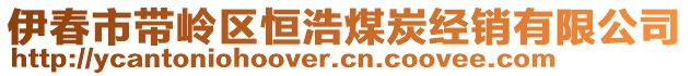 伊春市帶嶺區(qū)恒浩煤炭經(jīng)銷(xiāo)有限公司