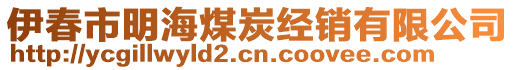 伊春市明海煤炭經(jīng)銷有限公司